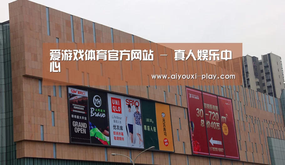 龙湖 · 金楠天街(图1)