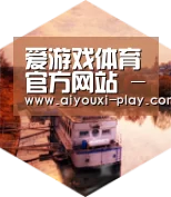 爱游戏电子中德合璧 实力可鉴