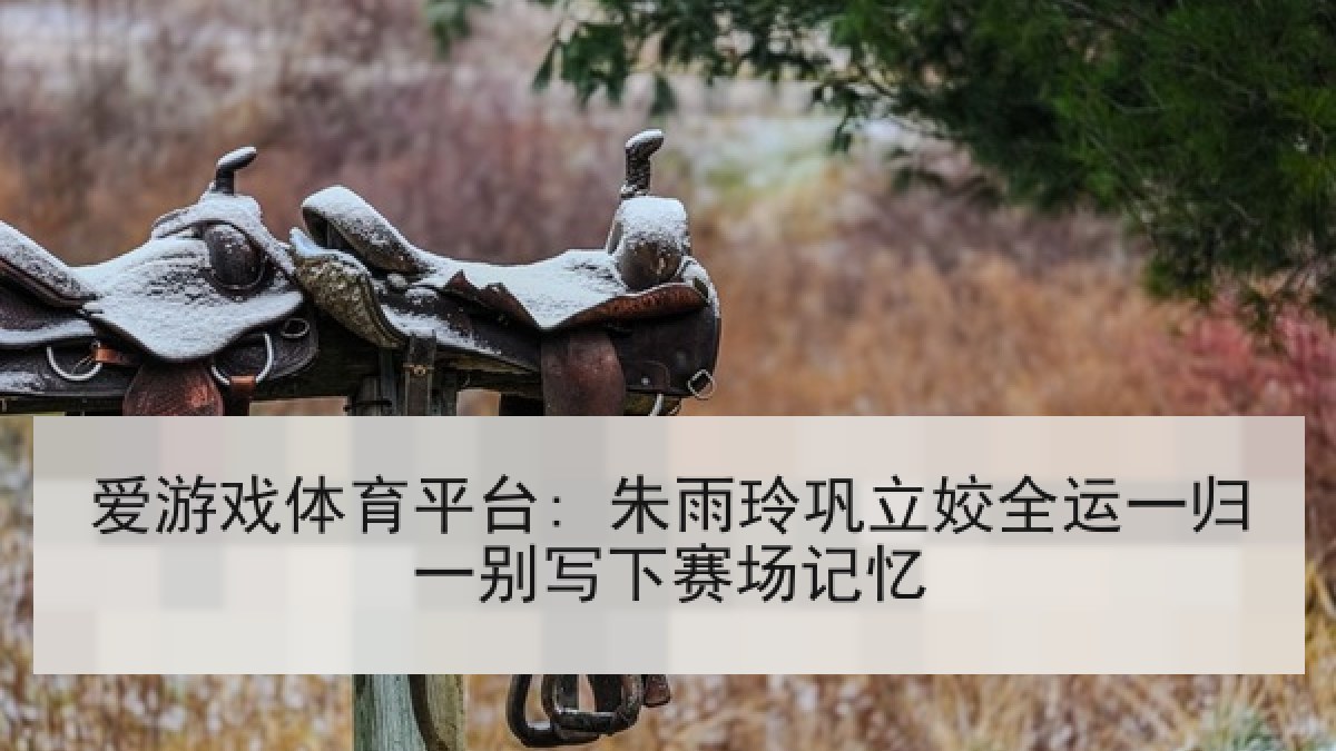 爱游戏体育平台: 朱雨玲巩立姣全运一归一别写下赛场记忆