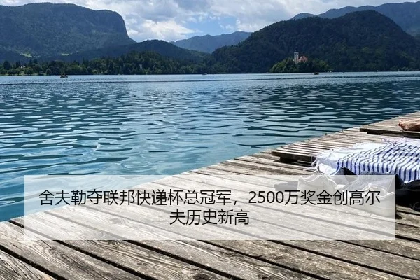 she-fu-lei-duo-lian-bang-kuai-di-bei-zong-guan-jun-wan-jiang-jin-chuang-gao-er-fu-li-shi-xin-gao-1-360.jpg