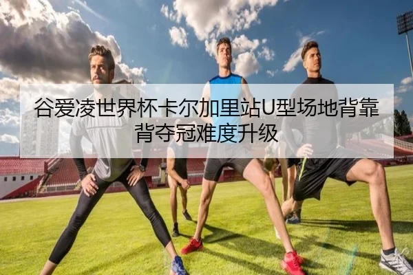 gu-ai-ling-shi-jie-bei-ka-er-jia-li-zhan-xing-chang-di-bei-kao-bei-duo-guan-nan-du-sheng-ji-1-983.jpg