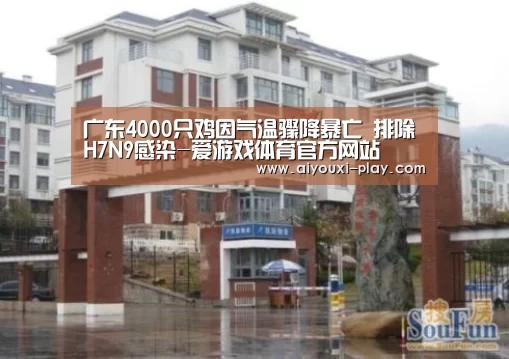 爱游戏百家乐