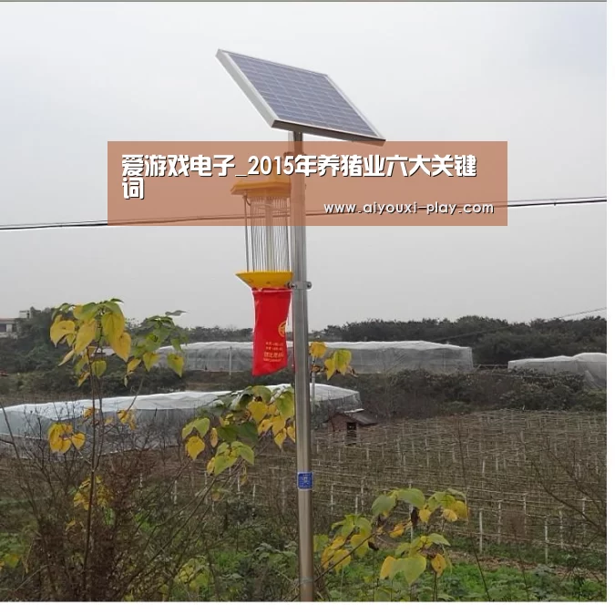 爱游戏电子_2015年养猪业六大关键词